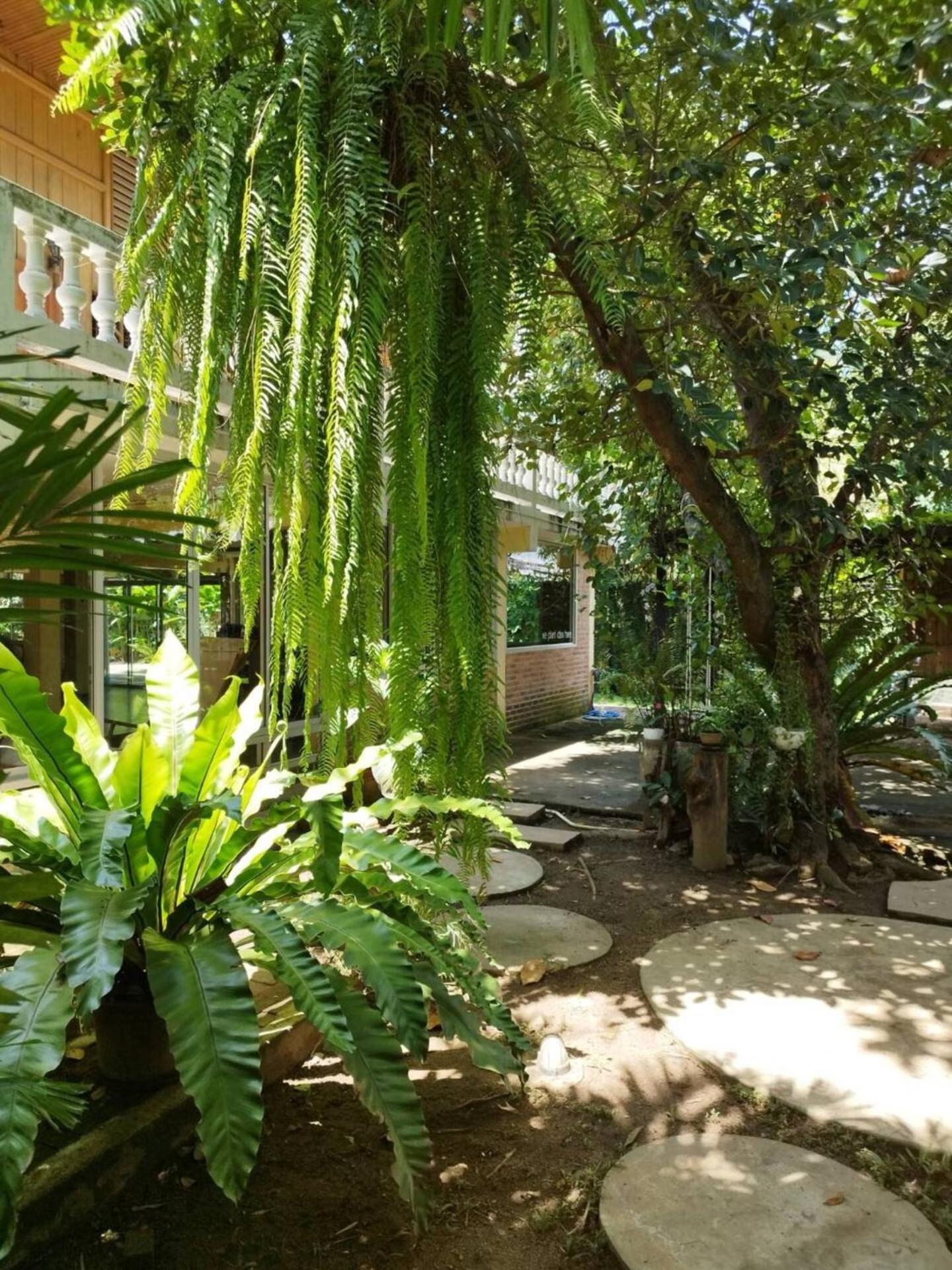 Atelier 36 Hotel Chiang Mai Exterior photo